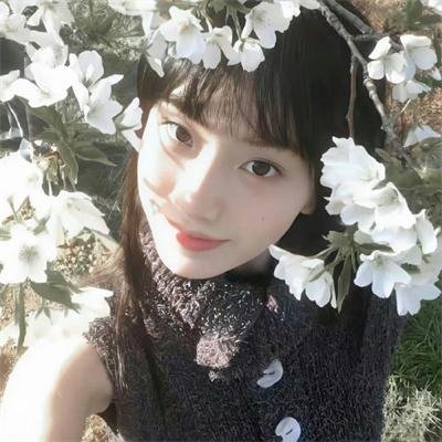 真少爷摆烂心死后，姐姐们都慌了